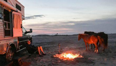 Two horses and a man around a campfire that is next to a mobile living pop-up camper.