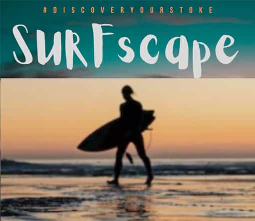 SURFscape — Surf Industry Members Association