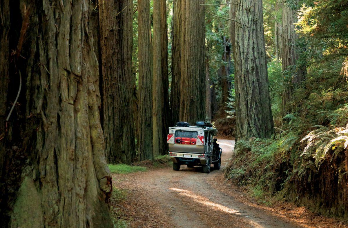 Returning to our Roots - Overland Journal